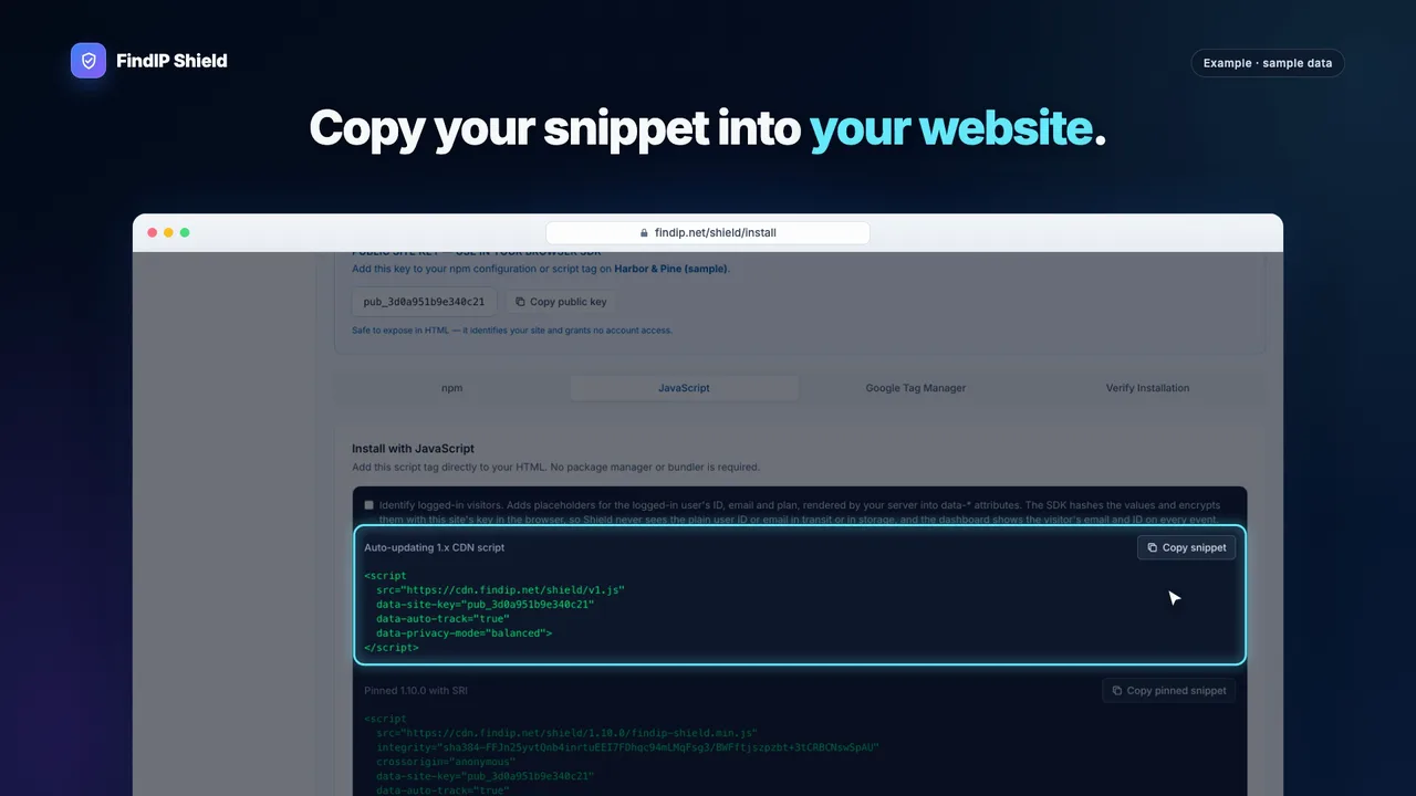 The FindIP Shield install checklist showing the snippet installed and reporting
